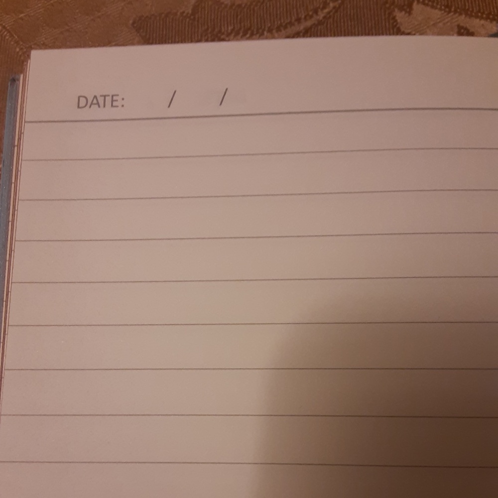 Blue Journal - Picture 2 of 5